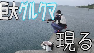 テトラポットから巨大グルクマを狙う！