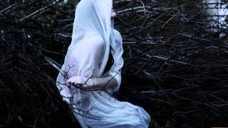 D. Shostakovich - Cello Concerto No. 1 in E flat major, Op. 107 (Live)