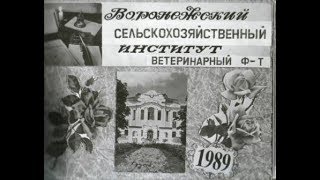 Встреча выпускников-1989... 20 лет спустя... Воронежский СХИ им. К. Д. Глинки. Ветфак