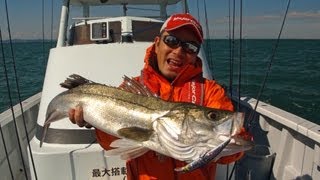 東京湾・冬デカシーバスwithスカイロード!!!!
