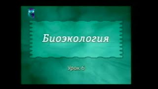 Экология. Урок 6. Биологические ритмы. Популяции. Структура популяций