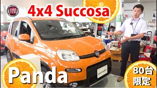 【FIAT】Panda 4x4 Succosa