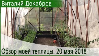 Обзор моей теплицы. 20 мая 2018