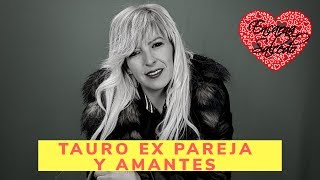 TAURO EX PAREJAS Y RELACION OCULTA FEBRERO 2020   Tarot Encarna Salcedo