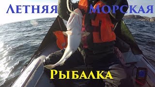 ЛЕТОМ В МОРЕ РЫБА ЕСТЬ / Summer Sea Fishing