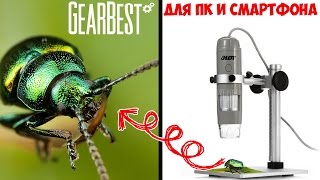 ЦИФРОВОЙ МИКРОСКОП 500X 5MP ДЛЯ ПК И СМАРТФОНА . СОБИРАЕМ, ПОДКЛЮЧАЕМ И СМОТРИМ. GEARBEST