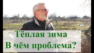 Зима без снега и мороза