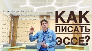 ЕГЭ НА СОТКУ. Как писать эссе? Задание 29 ЕГЭ по обществознанию