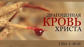 «Драгоценная Кровь Христа» — Андрей П. Чумакин