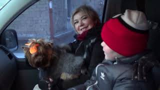 Как мы с Мишкой посевать ходили,сколько мы "напосевали" в 2019!