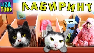 Смешные коты Новогодний Лабиринт для кошек Два КОТА Кожик и Компот проходят ЛАБИРИНТ  \ LizaTube