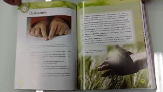 Книга ТЕЛО ЧЕЛОВЕКА. Издательство: ОЛМА