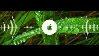 ⭐️New IPhone ringtone remix | Never really over marimba ringtone remix | Katy perry | 2019