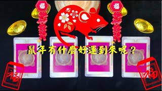 ?塔羅占卜?新年快樂，鼠年有什麼好運到來？