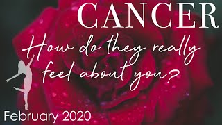 Cancer - ? THEY WANT TO BE WITH YOU & THEY KNOW THEY WILL ? - How Do They Feel About You? Feb. 2020