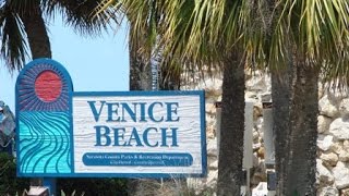 Venice Beach- - - Бомжи повсюду-- Жизнь пенсионеров в Лос Анджелесе