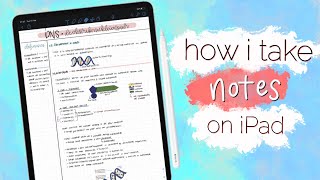 How I take notes on iPad Pro (2020) | Kayla’s Wordl