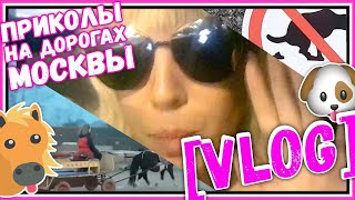 ПРИКОЛЫ НА ДОРОГАХ МОСКВЫ  СМЕШНОЙ ЗНАК ♔ NekoTyan КАРИНА БАРБИ
