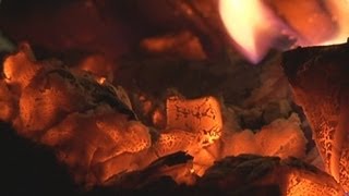 Fundraisers walk hot coals for Sumatran tigers at London Zoo