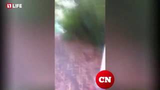 Горячие новости! Подростки из Новосибирска сняли на видео избиение бездомного.