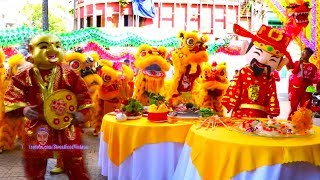 Múa Lân Ông Địa Thần Tài mùng 10 Tết 2019 - Barongsai LSR Tinh Anh Đường