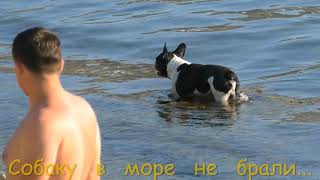 Лето. Крым. Море. Орджоникидзе.