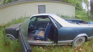 Horrifying Giant European Hornets built a nest in an El Camino