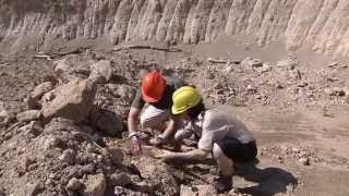Art Attack - Big Art : Homme des cavernes - Sur Disney Junior - VF