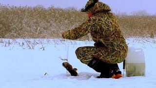 ТАКОГО КЛЕВА НЕ БЫЛО ДАЖЕ ПО ПЕРВОМУ ЛЬДУ!!! РЫБАЛКА НА ЖЕРЛИЦЫ 2020!!! MAX HUNTER