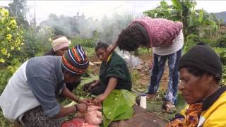 Traditional "Mumu" ( pig kill ),  Mendi, Southern Highlands - Papua New Guinea