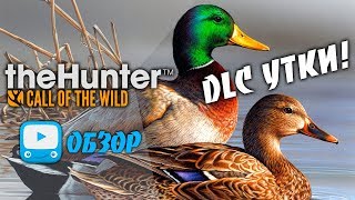 theHunter Call of the Wild - Обзор DLC Mallard Duck | Охота на УТОК | Патч 1.25