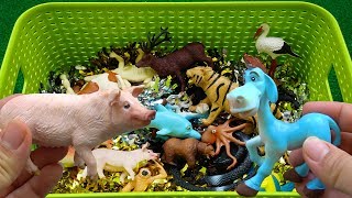 Som dos animais para crianças - Brinquedos de plástico para crianças