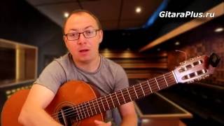 Ваше Благородие | переложение ученика | Александр Фефелов