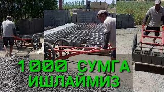 ЯНГИ БИЗНЕС