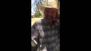 Pilo Chistes y sus caballos