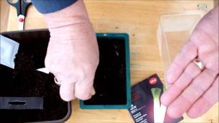 How to sow leek seeds. Sowing the first seeds of the year, It's got to be Leeks.