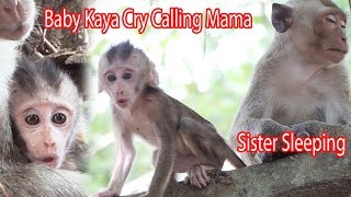 Poor Baby Kaya Crying Calling Disappeared Mama Kayoy In While Sister Kayla Sleeping / 1438