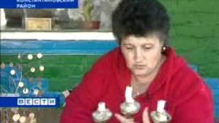 Птицы из автомобильных шин