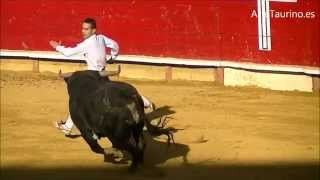 Concurso de Cortes Laguna de Duero 2014 Toro 3