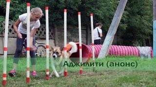 Аджилити (анонс)