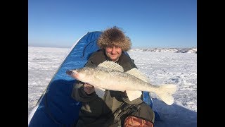 Ирикла  4-6 января 2018. Трофейный судак!!! Рыбалка СУПЕР!!!