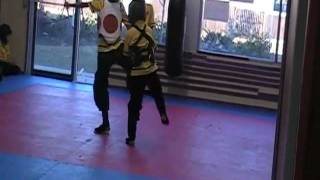 damerjis martial arts acadmy  kung fu fighting part 2
