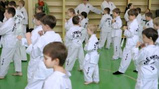 Таэквон-до. Аттестация на желтый пояс. ITF