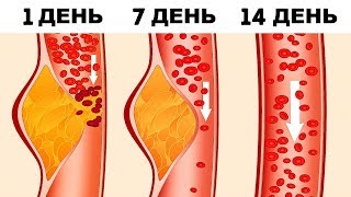 Почему эта диета считается лучшей