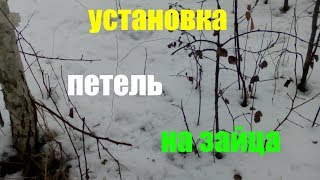 Установка Петли на Зайца Встреча с Куропатками