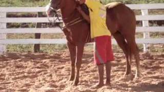QUEDA CAVALO SÃO DESIDERIO