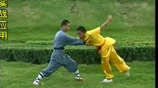 Kung Fu lianhuan quan, fighting techniques