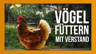 Vögel füttern mit Verstand ?| Paul's Mühle