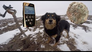 XP ORX X35. Коп на поле.
