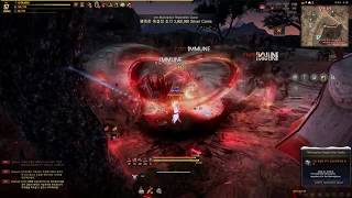 Black Desert: Ran 란 Awakening grind (Bashim)